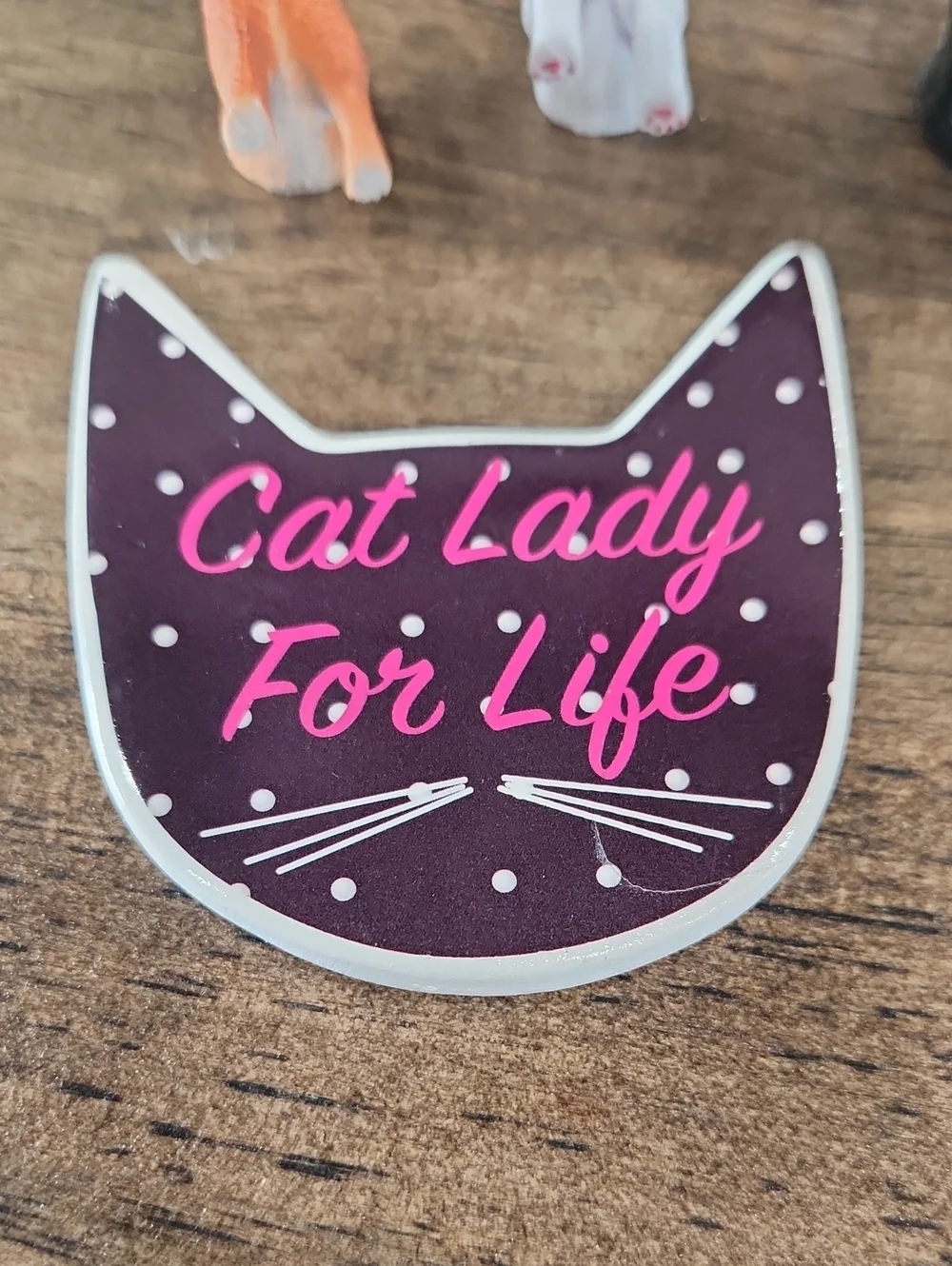 Cat Lady Magnet Set - Multi Color Decorative Cat Backs